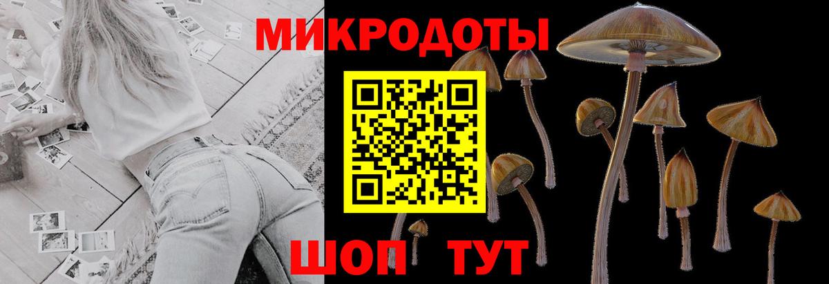 Псилоцибиновые грибы Magic Shrooms Шарыпово